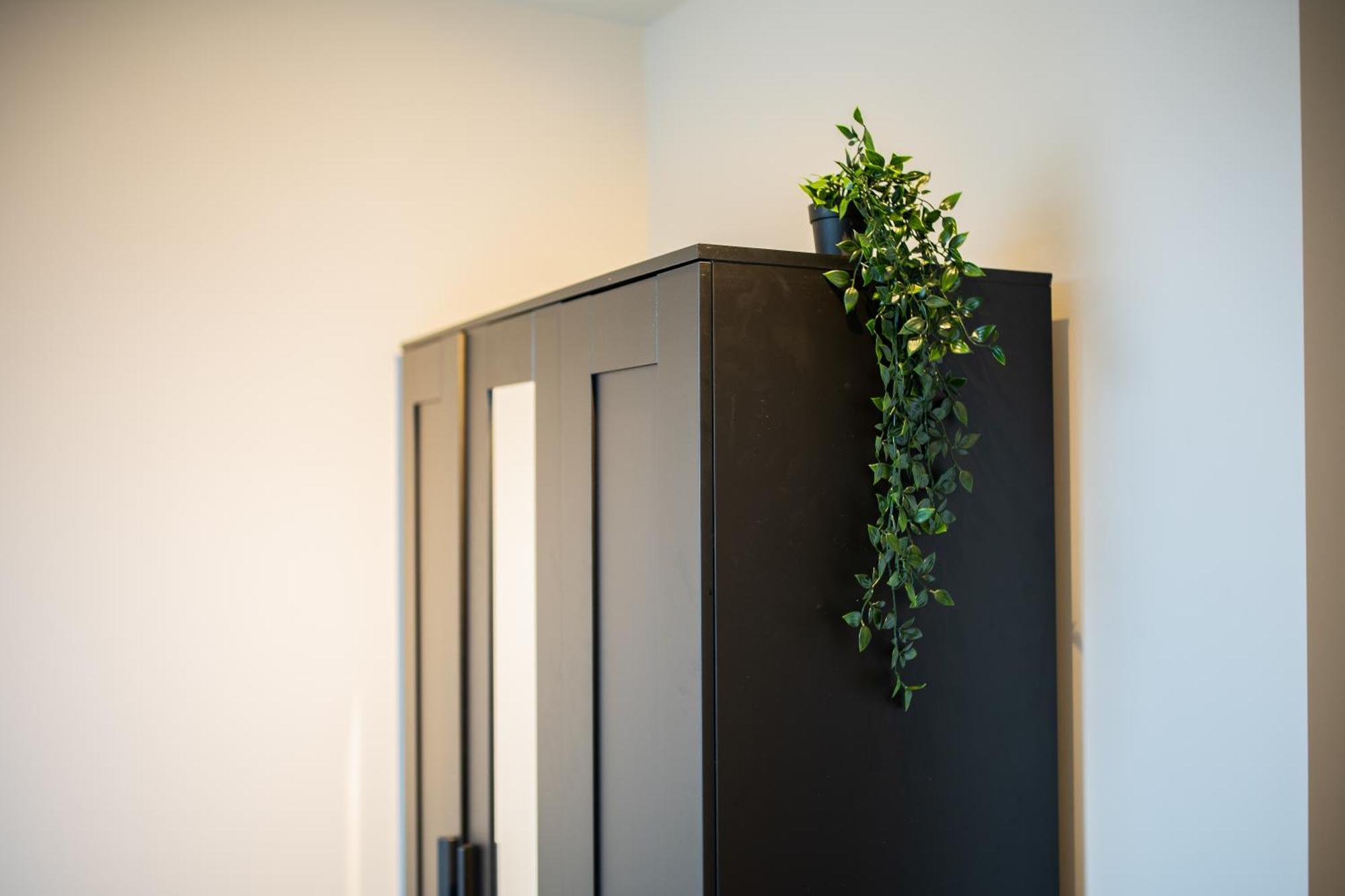 Apartment 2e 3e Pijnackerstraat Rotterdam